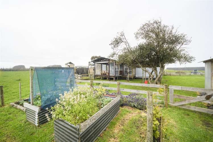 390 Beamish Road Bulls_24