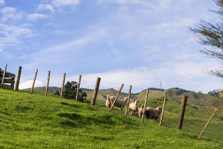 4 Colin Drive Paeroa_27