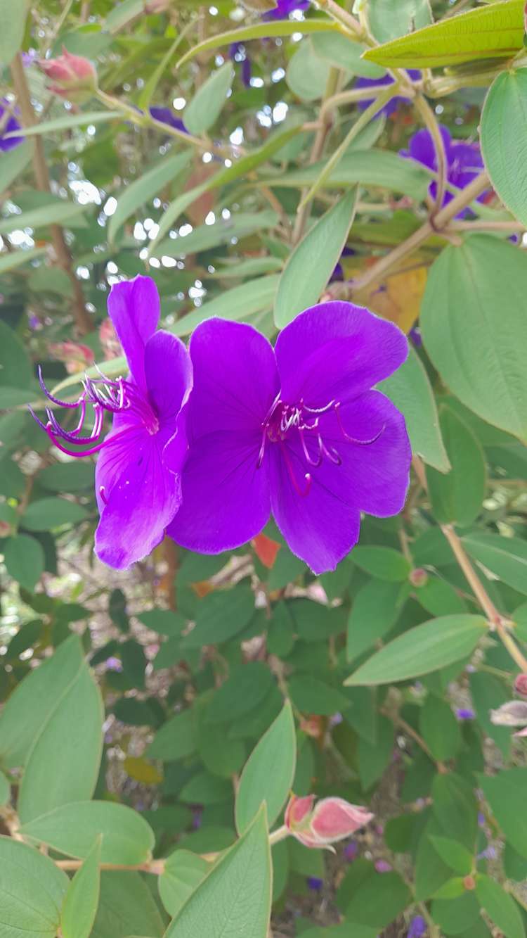 279 Taratara Road Kaeo_37