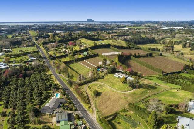 14 Snodgrass Road Te Puna_1