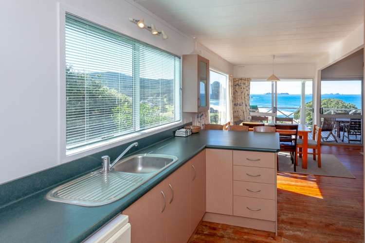 323 Onemana Drive Onemana_8