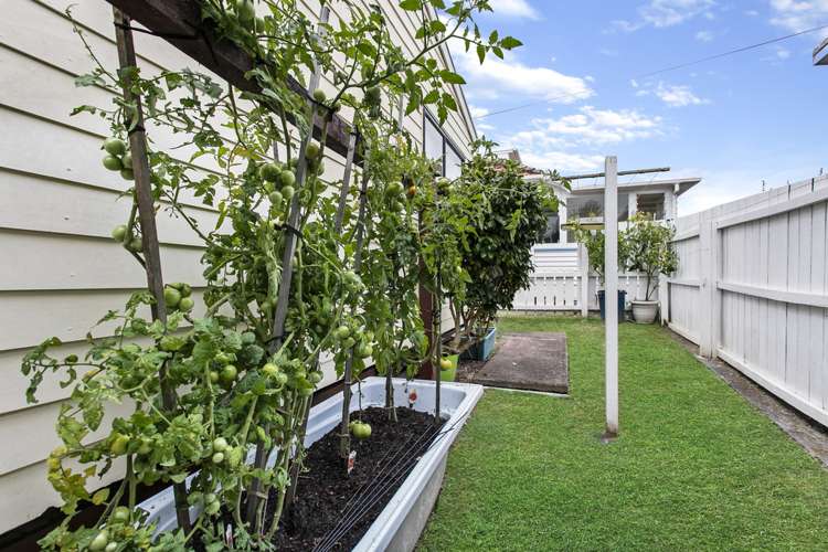 2/144 Lynwood Road New Lynn_12