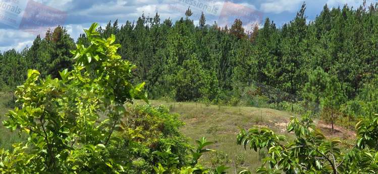 Address withheld Nadi_27