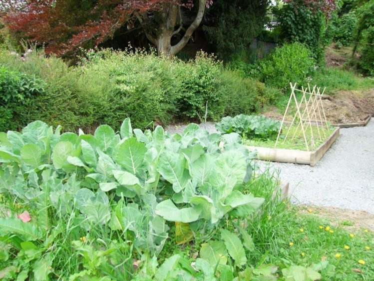 37 Whitehaven Street Lawrence_20