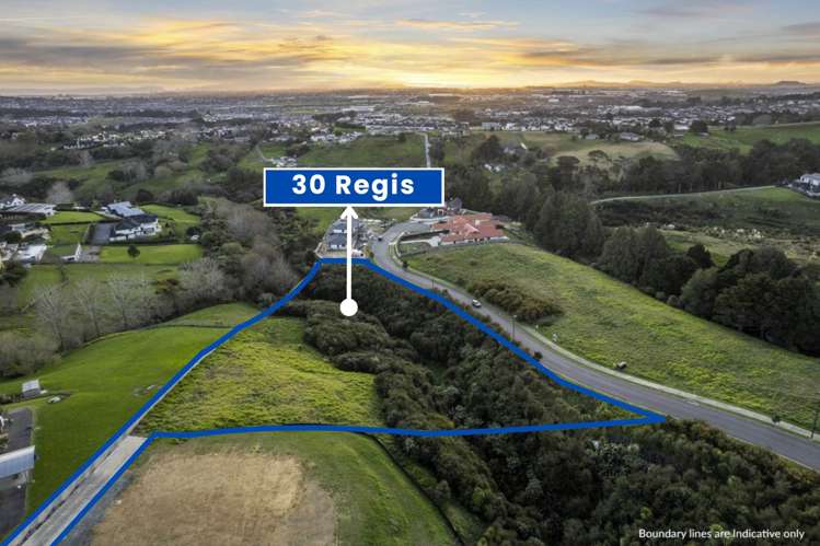 30 Regis Lane Flat Bush_3
