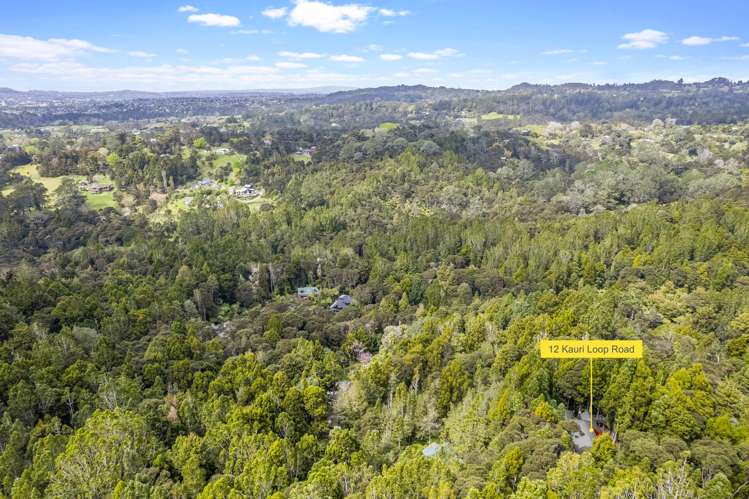 12 Kauri Loop Road Oratia_18