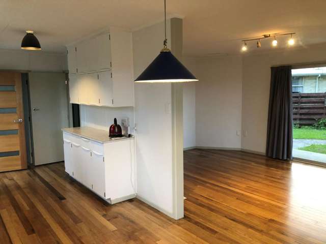 21 Ruru Crescent Putaruru_2