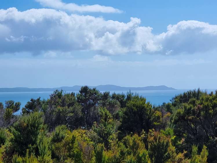 103 Stratford Drive Cable Bay_2