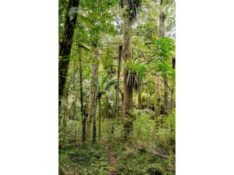 73 Weka Lane, Okaihau Kerikeri_29