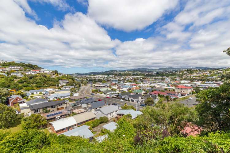 27 Awa Road Miramar_19