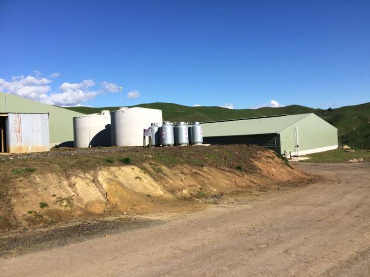 198 Harbottle Road Morrinsville_11