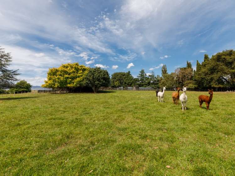 1005 Taonui Road Feilding_5