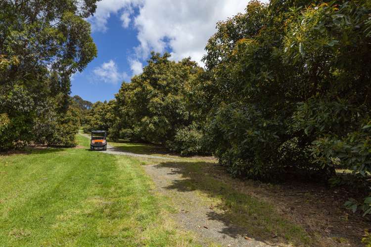 501 Paparore Road Pukenui_11