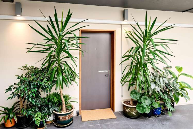 9/208 Jackson Street Petone_19