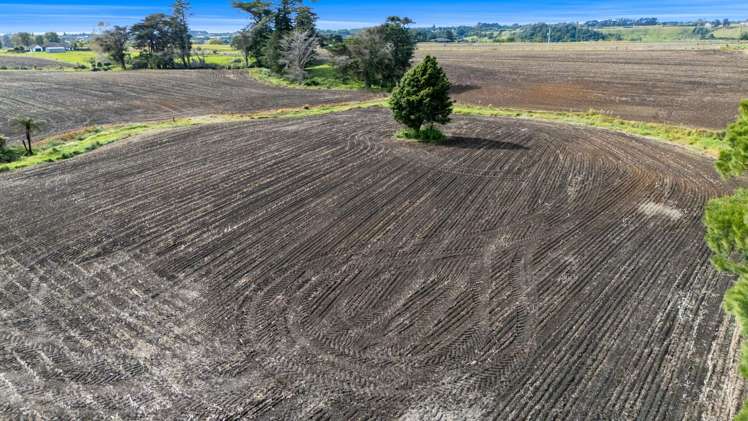 40 Rona Road Brixton_19