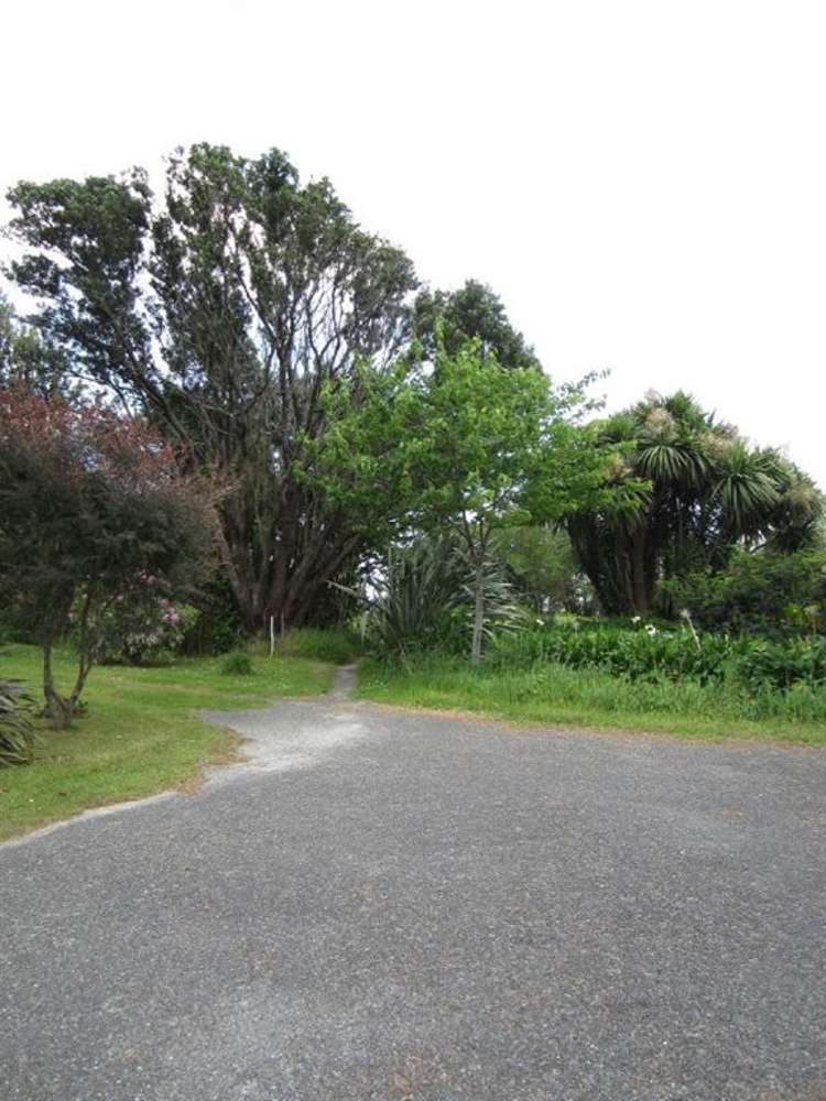 3 Ives Street Hector_18