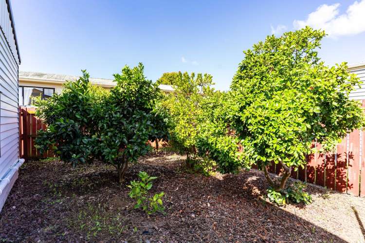 182 Corks Road Tikipunga_27