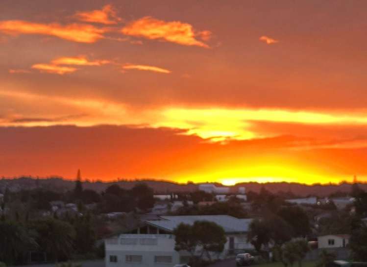 2/8 Treasure Lane Te Atatu South_12