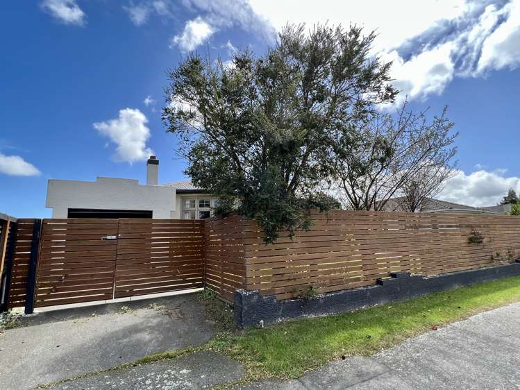 36 Exmouth Street Waverley_23