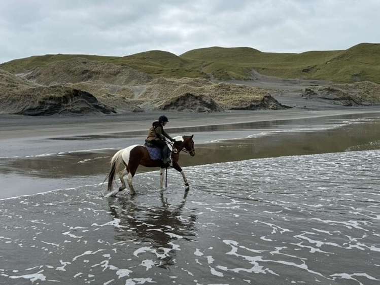 767 Te Akau Coast Road Te Akau_30