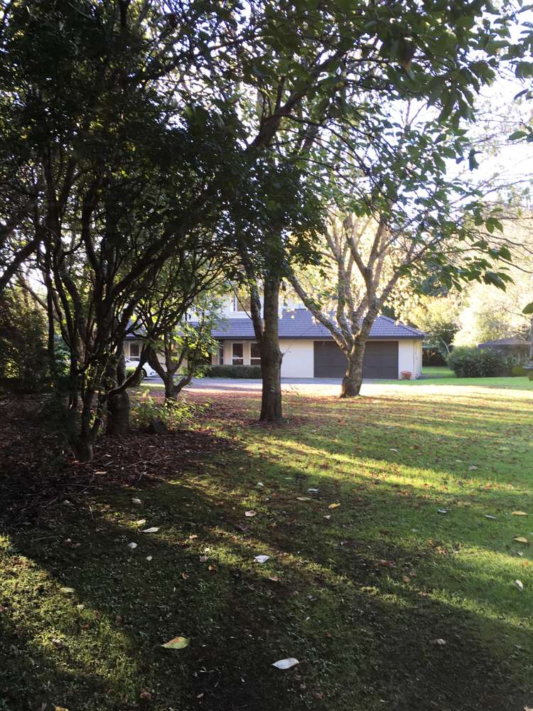 249 Sutton Road Drury_15