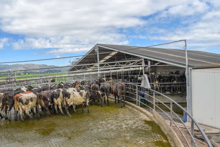 106 Rotherham Road South Culverden_4