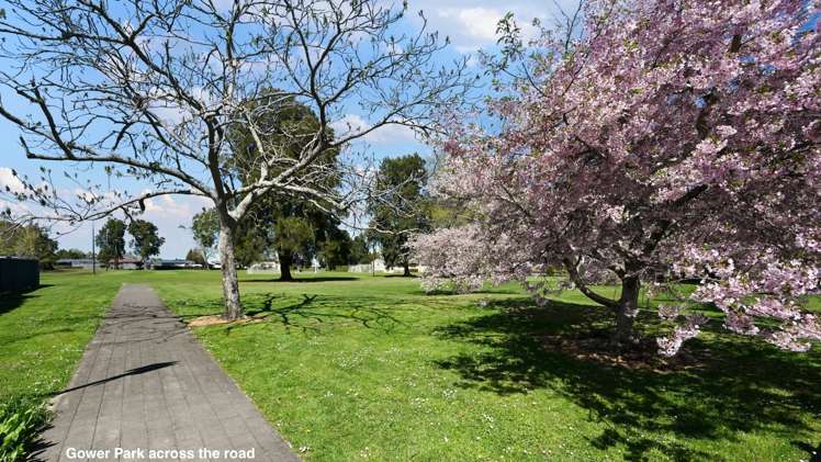 30 Hibiscus Avenue Hamilton Lake_16