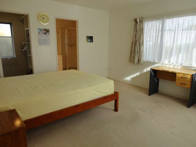 14g Cradock Street Avondale_3