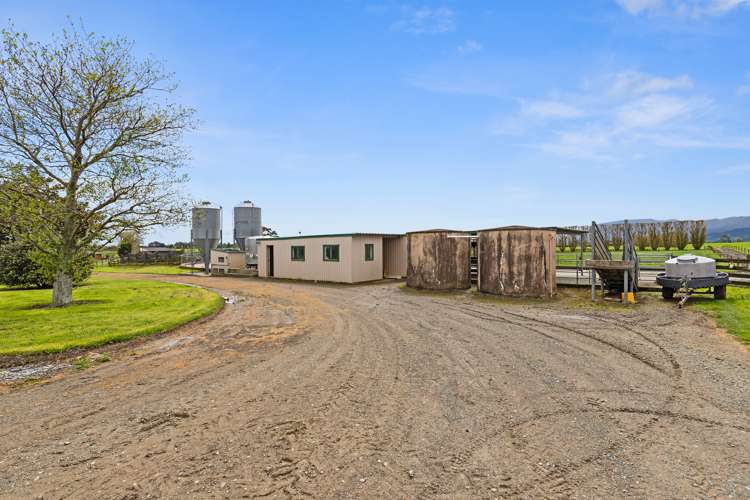 1369 Te Aroha-Gordon Road Manawaru_22