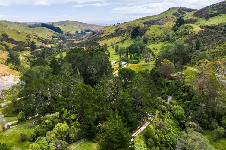 671 Saunders Road Tiraumea_20