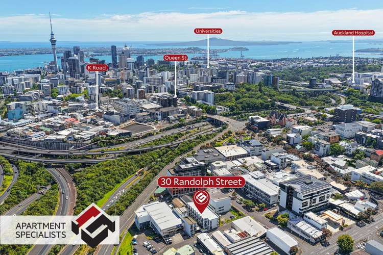 30 Randolph Street Eden Terrace_7