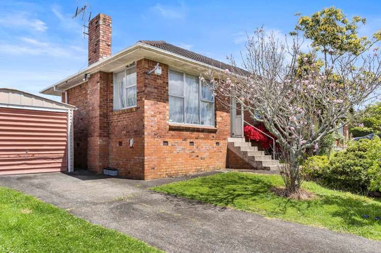 1/2 Wayne Drive Mangere_13