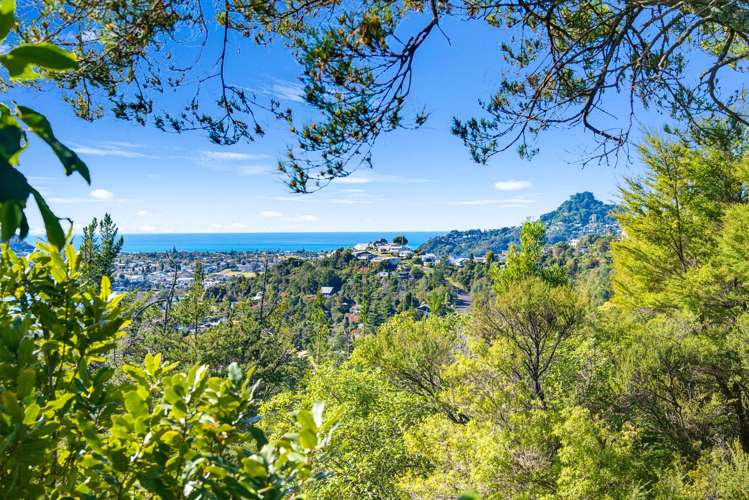 64 Hinemoa Terrace Tairua_25