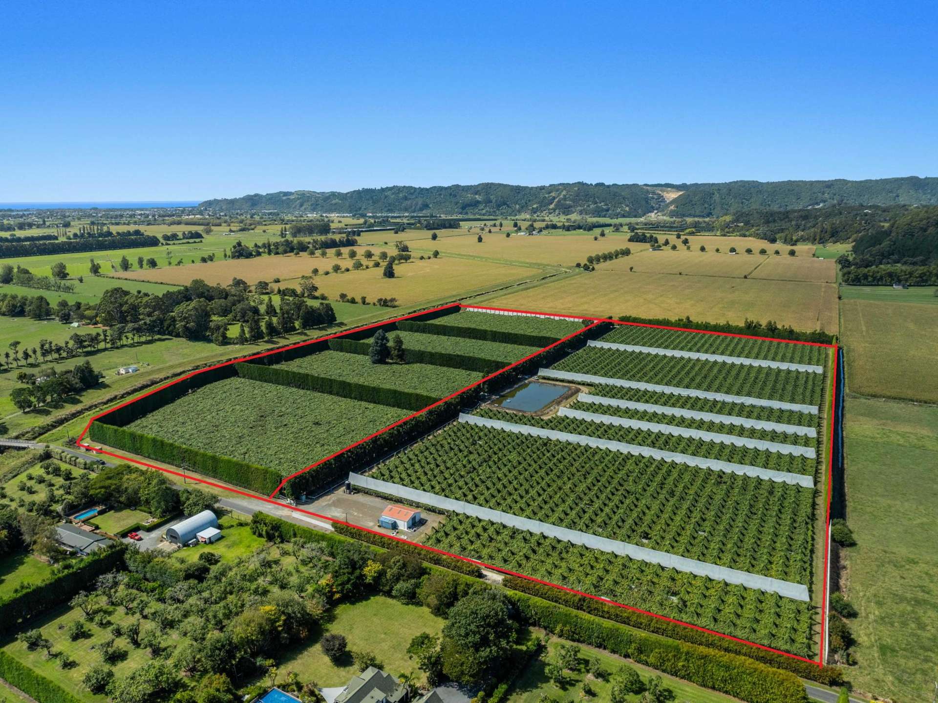 19 and 39 Butler Road Te Teko_0