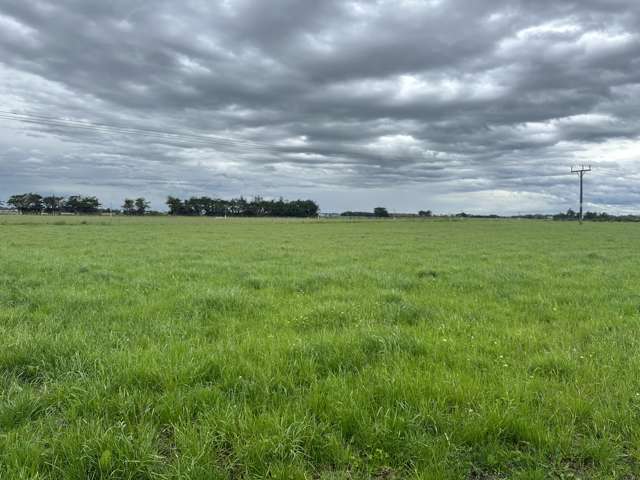 Grazing block close to Invercargill