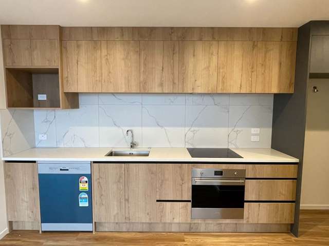 203/5 Newelm Lane Flat Bush_2