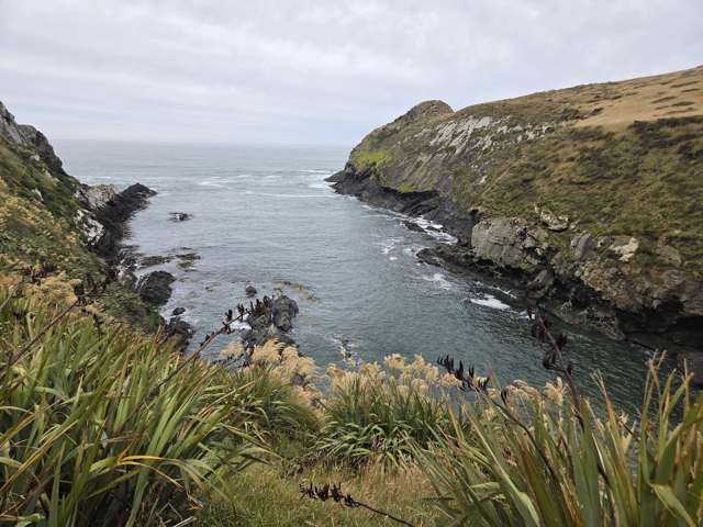 Cannibal Bay Rd Catlins Surrounds_1