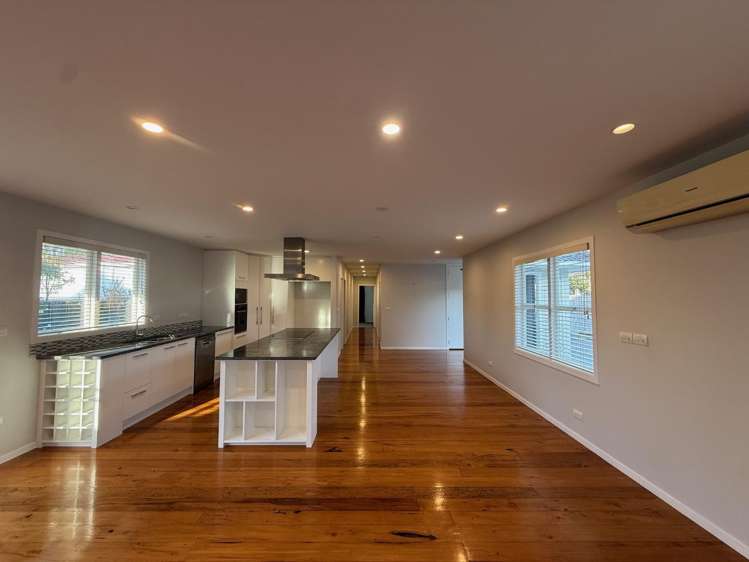 102 Owairaka Avenue Mount Albert_5