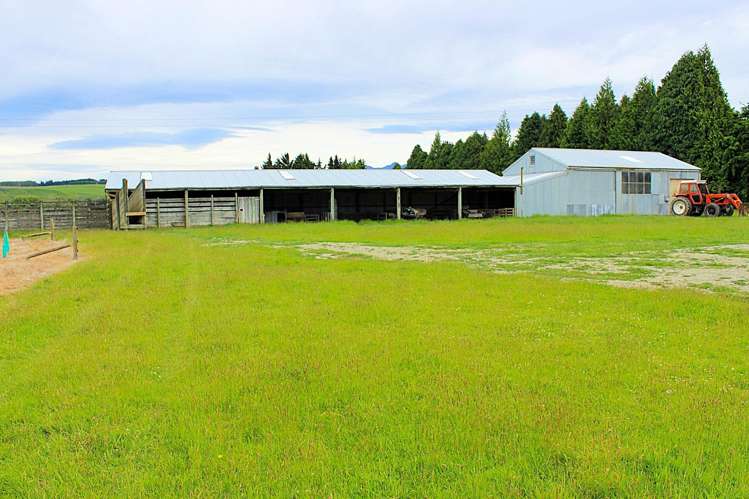 105 Lynwood Road Hillside_6