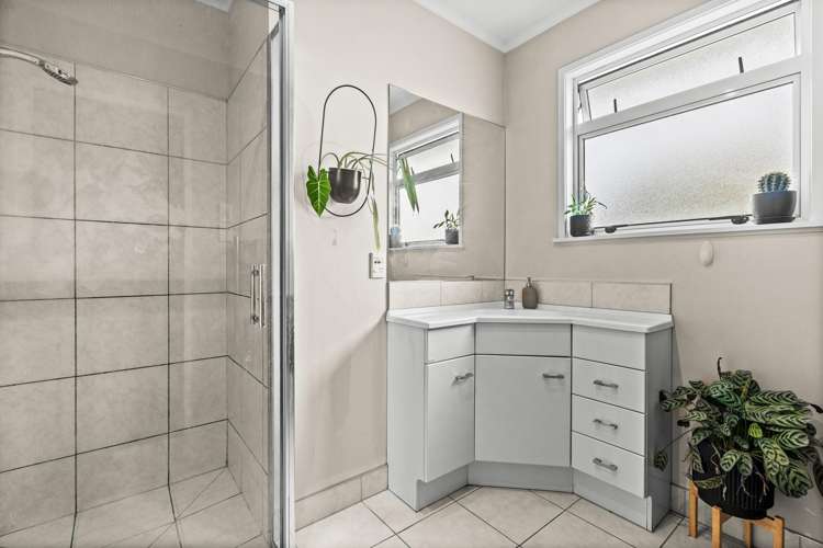 31 Plunket Street Tamatea_7