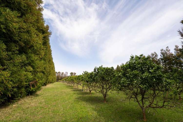 908A Te Ahu Ahu Road, Waimate North Kerikeri_23