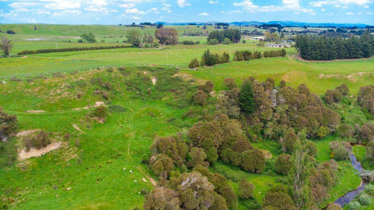 87 Otanga Road Dannevirke_22