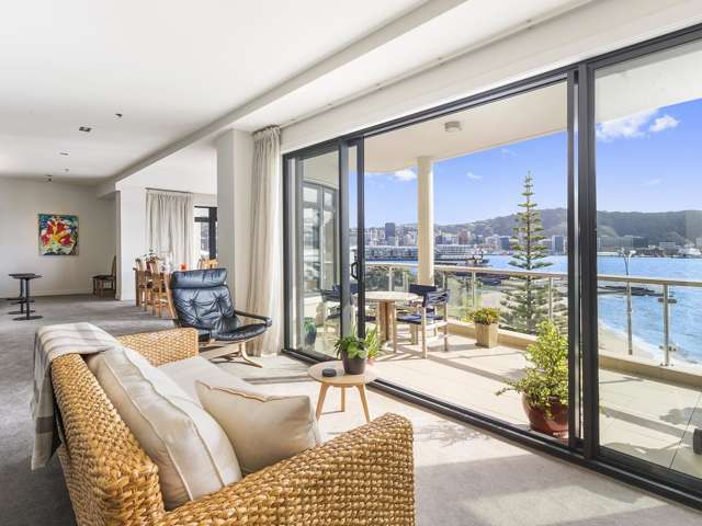 3b/172 Oriental Parade Oriental Bay_4