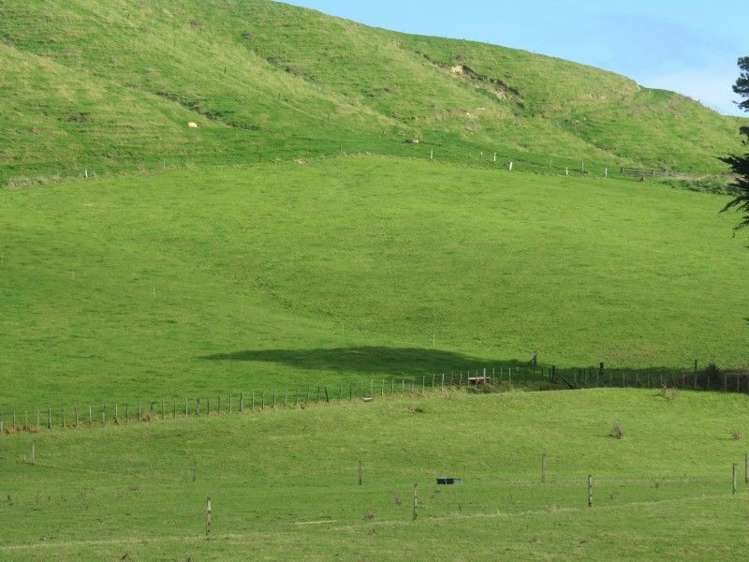 20 Taylors Road Pahiatua_18