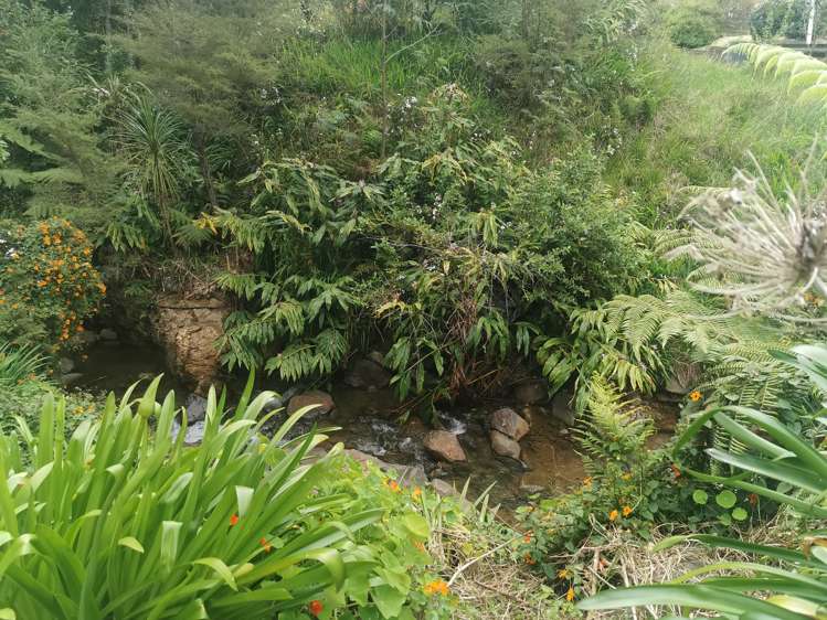 12 Pohue Creek Road Waiomu_13