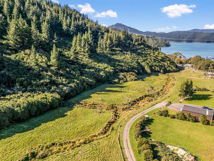 1452 Port Underwood Road Port Underwood_32