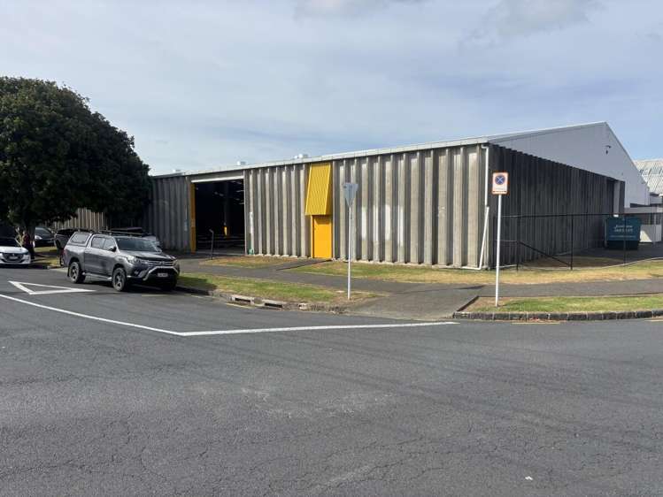 11 McDonald Street Morningside_10