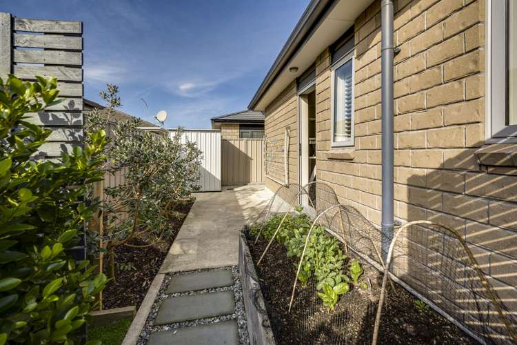 170 Avondale Road Greenmeadows_13