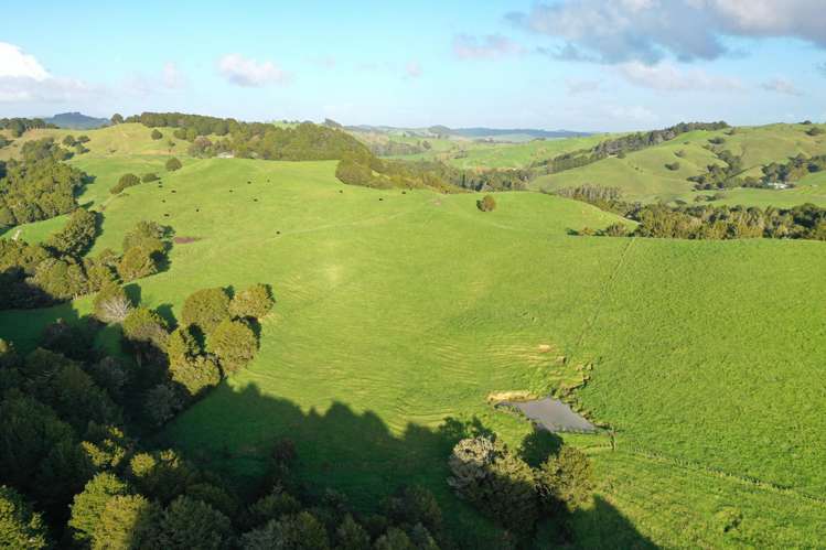 34 Wairere Valley Road Paparoa_6