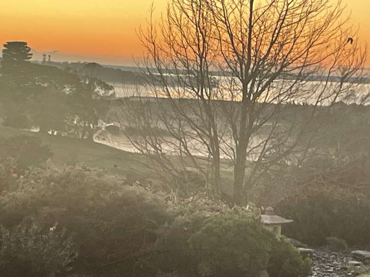 244 Lindemann Road Tahawai_52